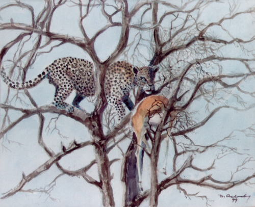 Bild Leopard auf dem Baum von Uli Aschenborn